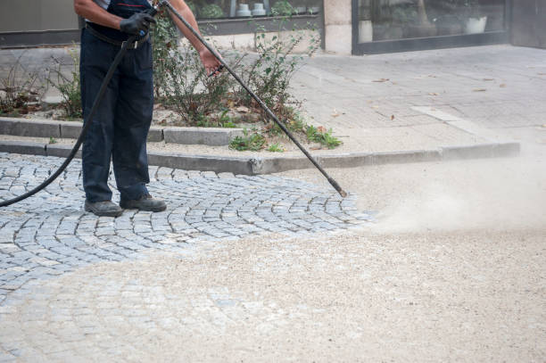 Best Pre-Holiday Cleaning  in Dulce, NM