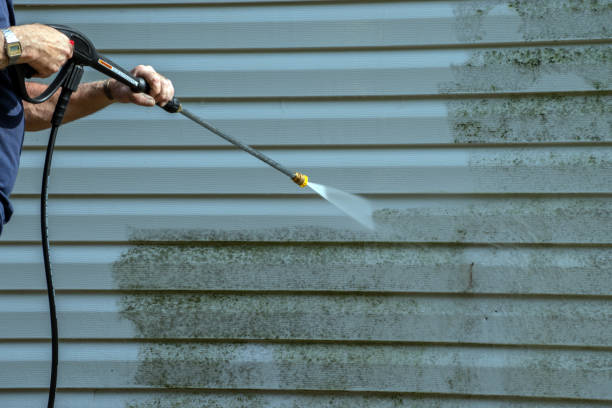 Best Roof Washing  in Dulce, NM