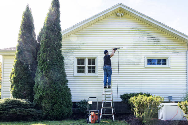 Best Post-Construction Pressure Washing  in Dulce, NM